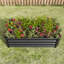 Jardinières rectangulaires surélevées-352784140-352784141