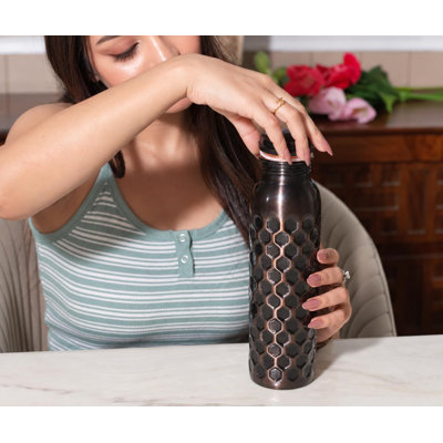 Bouteille d'eau en cuivre pur Alpha Living Home, 32 oz