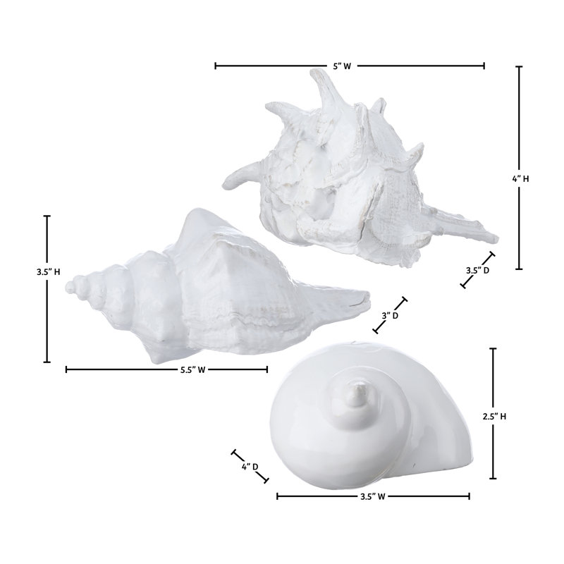 Coquille Amalfi en résine 4-5,5 po
