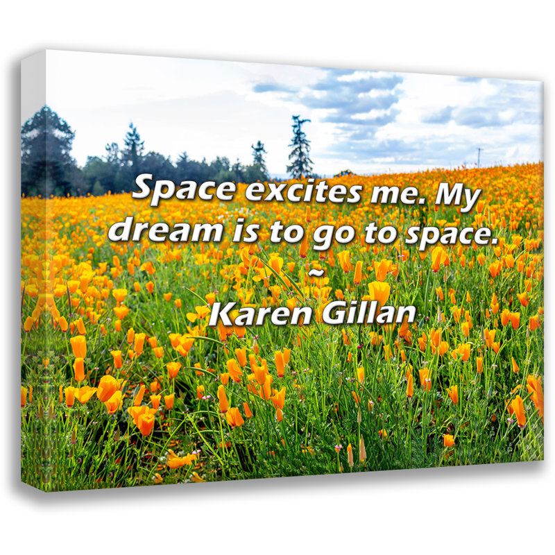 Citation artistique «L'espace m'excite. Mon rêve est d'aller dans l'espace». Toile tendue par Karen Gillan, H 17 po x l 24 po