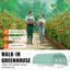 Walk-in Tunnel Greenhouse Galvanized Frame PE Cover-187925668-187925672