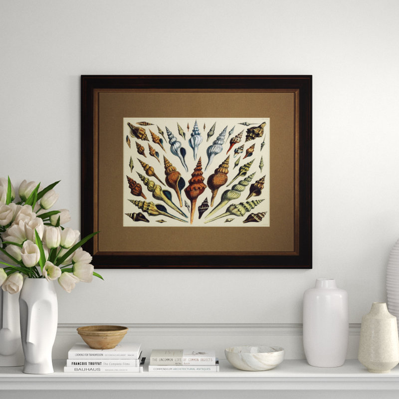 Shell Diagram III Print