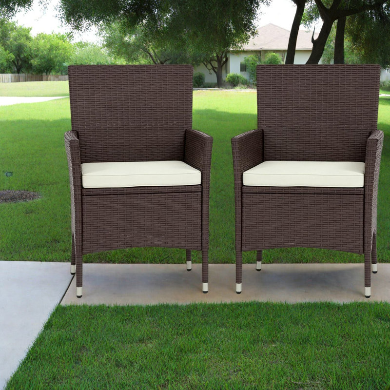 Chaises de patio modernes, paquet de 2 en rotin d'acier pour les repas à domicile