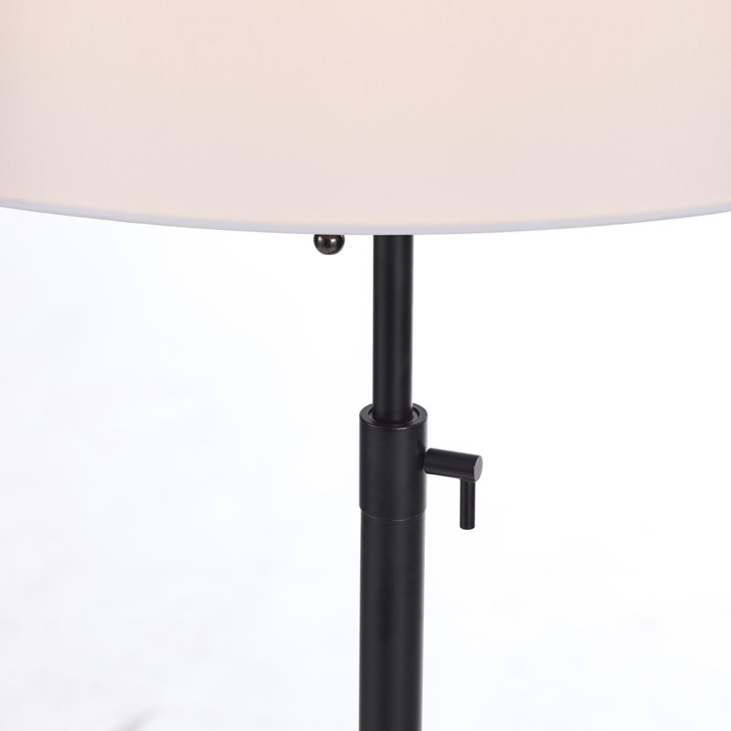 Lampe sur pied réglable 64,5 po, Noir