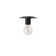 Roswell 1 Light Flush Mount