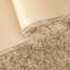 Soft Fluffy Living Room Large Area Rug-124921197-124921198