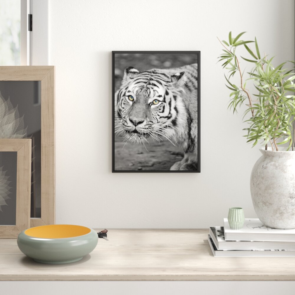 Gerahmtes Wandbild scheuer großer Tiger