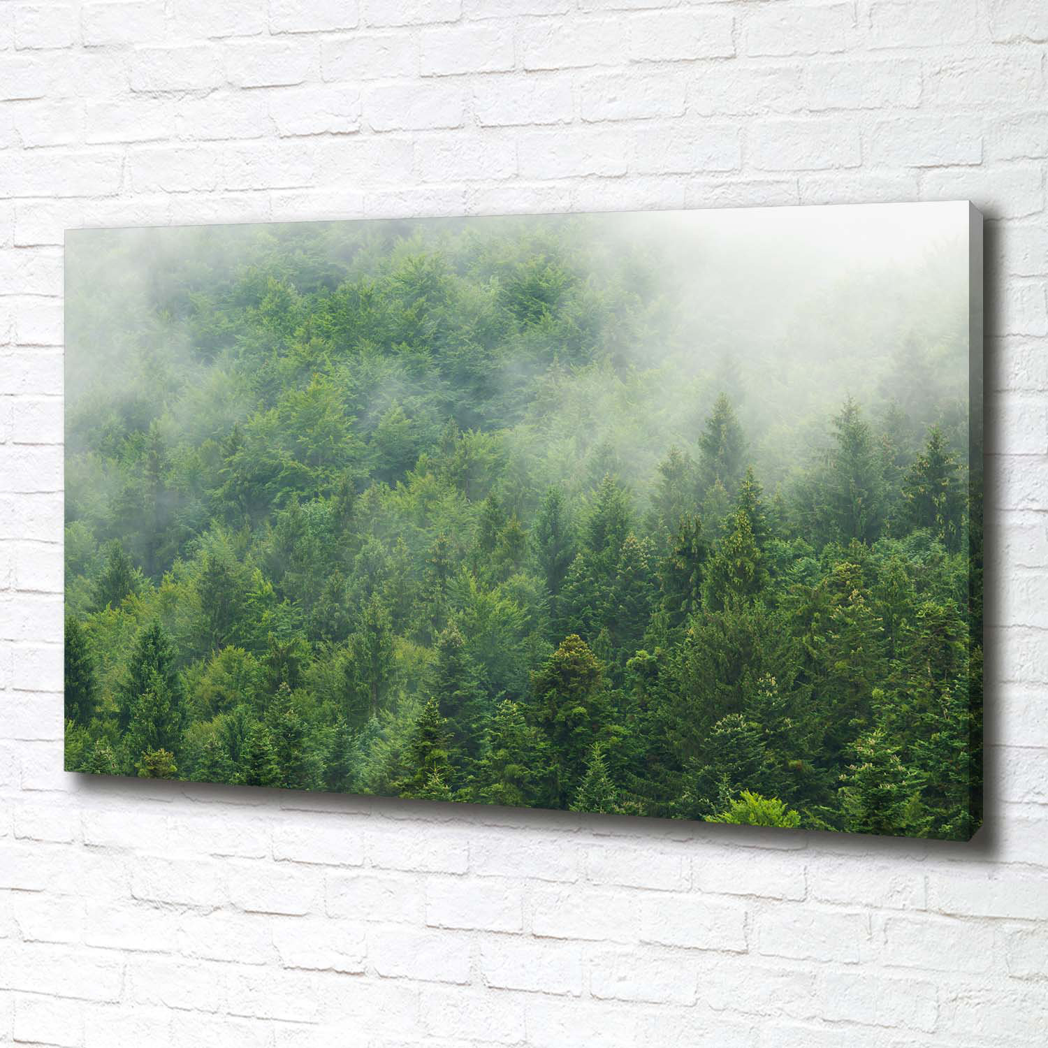 Union Rustic Mysterious Forest - Wrapped Canvas Art Prints | Wayfair.co.uk