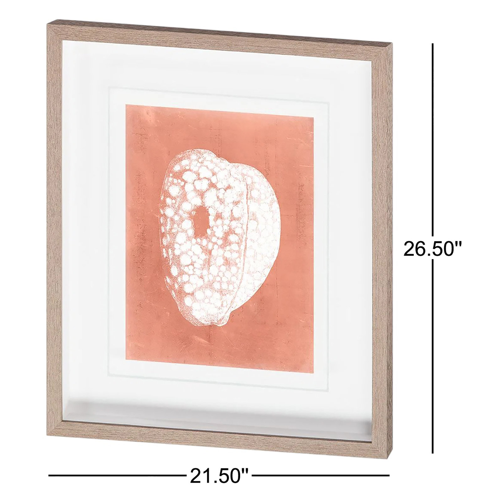 Sealife on Coral III by Vision Studio Hand Embelished Textured Framed Art Print Matted under Glass, Sealife on Coral III