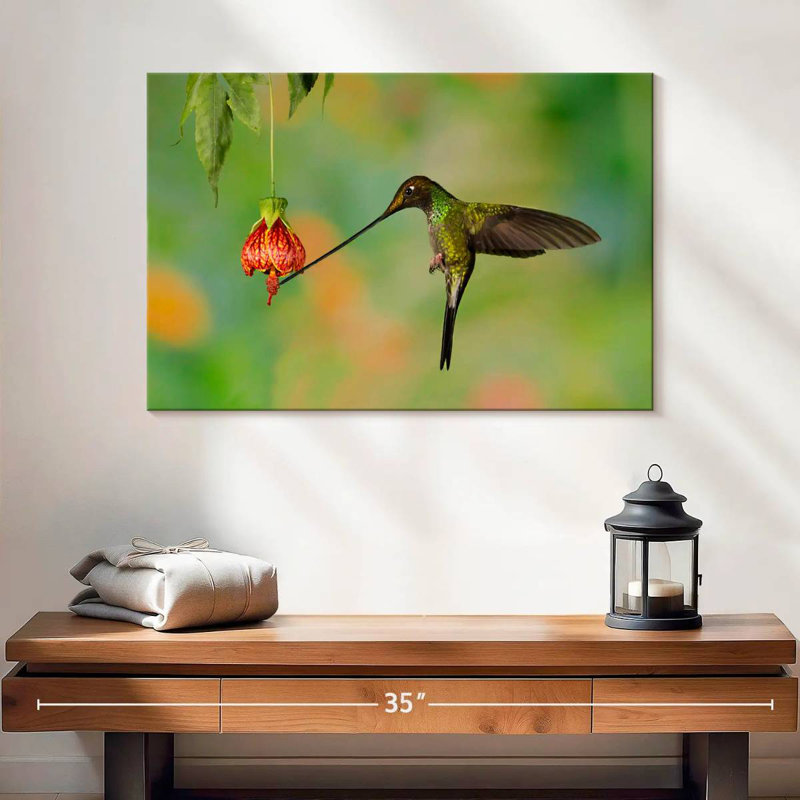 Colibri mangeant du nectar, H 16 po x l 24 po