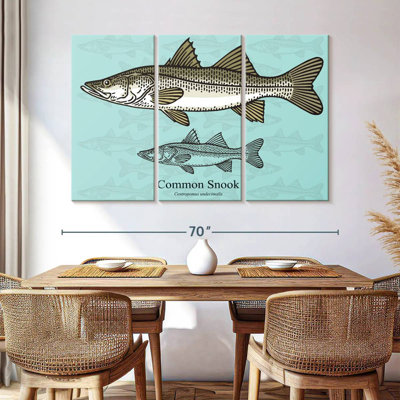 Snook commun de Brampt