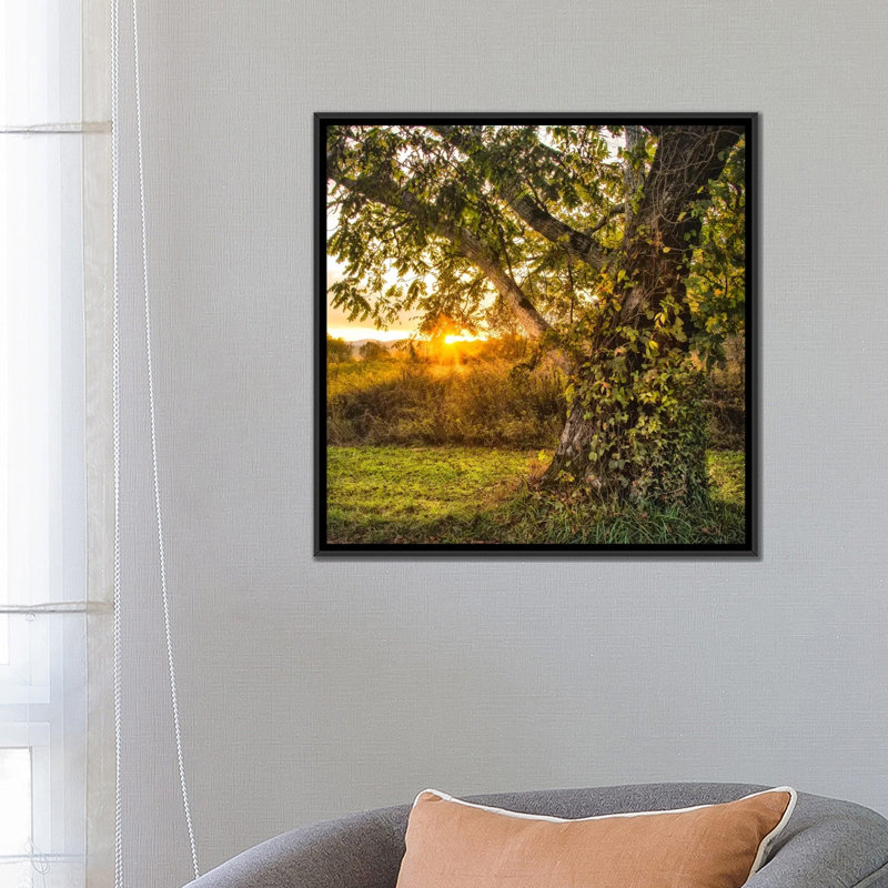 «Calling It a Day», reproduction de photo sur toile, 18" H x 18" W x 1.5" D, Toile avec cadre noir, Pas de tapis