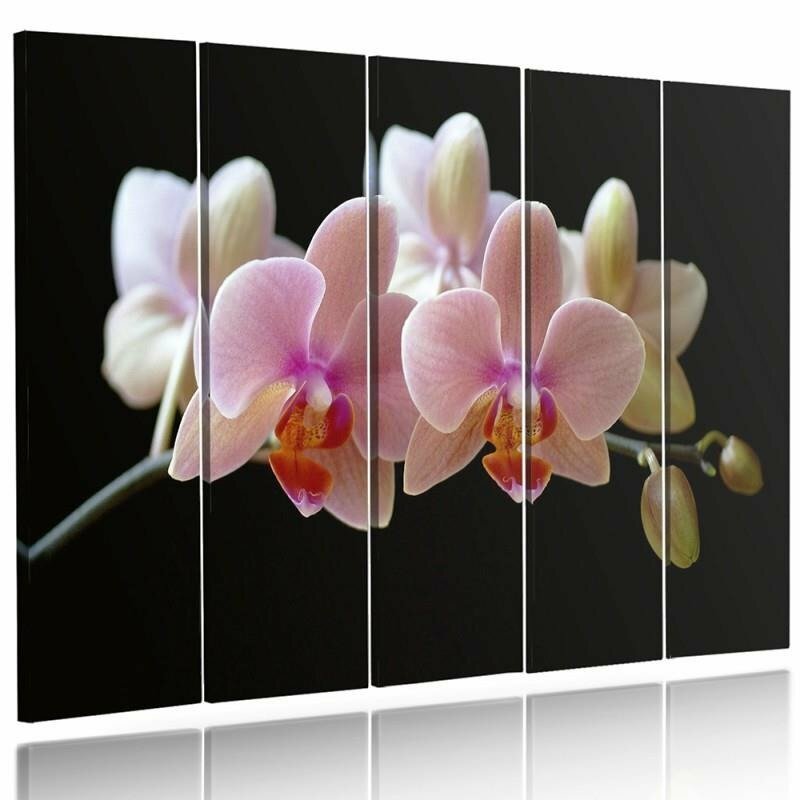 5-tlg. Leinwandbild-Set A Pink Orchid