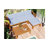 Outdoor Backyard Patio Wood 5-Piece Sectional Sofa Seating Group Set With Cushions
