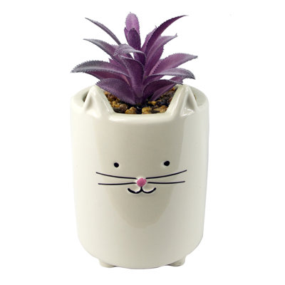 Annistin 18cm Plant