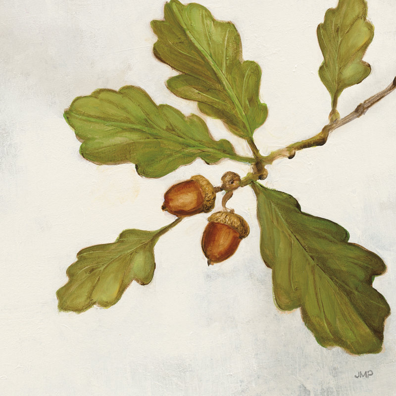Oak Branch Crop by Julia Purinton - Wrapped Canvas Painting, 91cm H x 91cm W x 3.8cm D