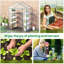 Walk in 143*73*195 cm Steel 1 Piece Walk-in Greenhouse Transparent with Roll-up Door