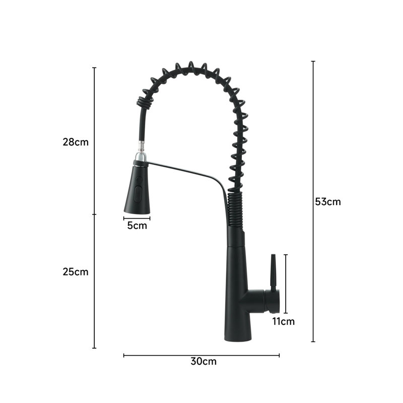 Belfry Kitchen Apollinaris Kitchen Faucet, Black
