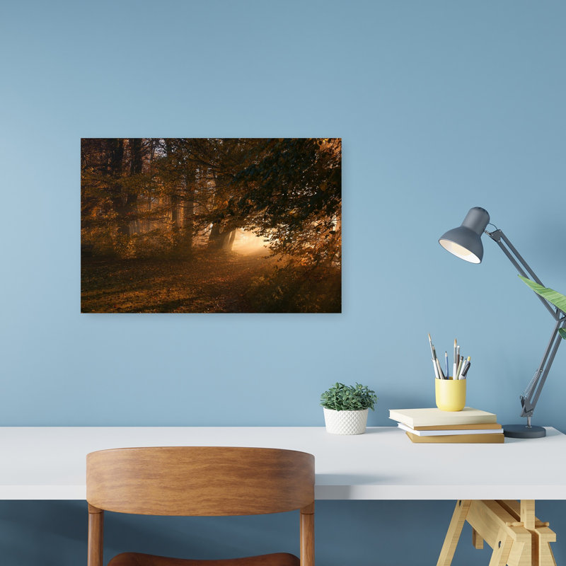 Chemin brumeux et doré dans une forêt d'automne paisible et sereine - Affiche murale, 12" H x 18" W