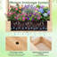 Planter-1006886602