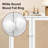 Vienna Accent Cabinet-1940812447