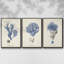 Indigo Botany Study I, ensemble de 3 toiles encadrées sur toile-97792563-97792557