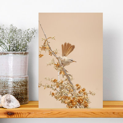 Dashiell Contemporary Art Contemporary Bird Wall Art - Wrapped Canvas Print
