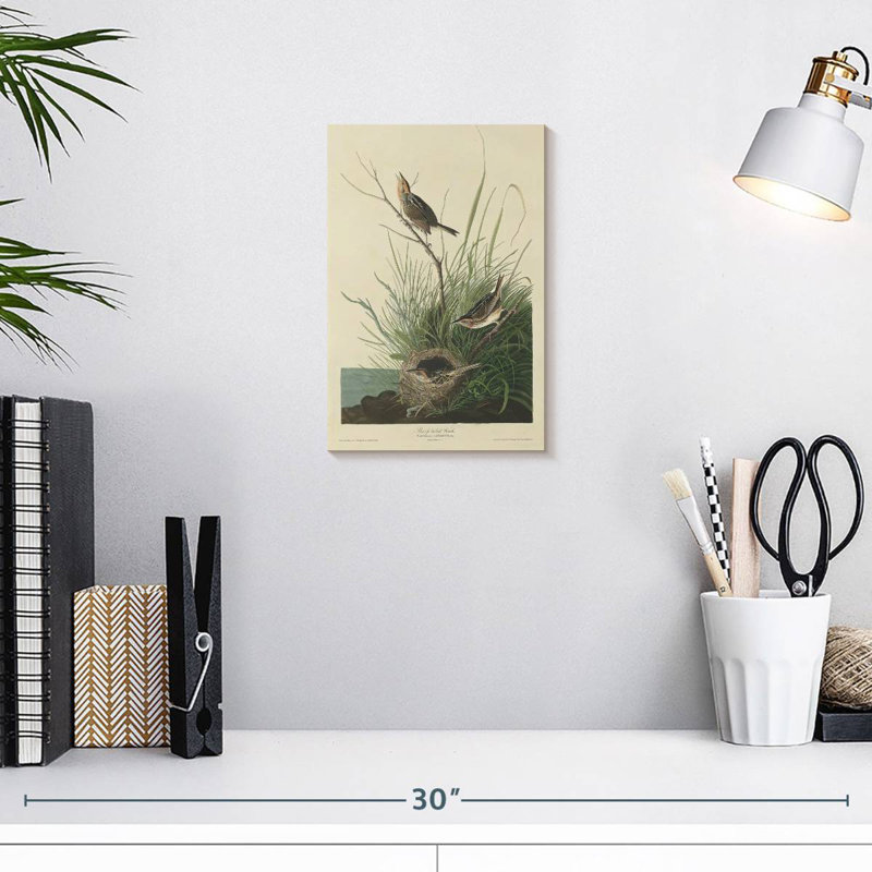 Keiri Sharp-Tailed Finch, 12" H x 8" W