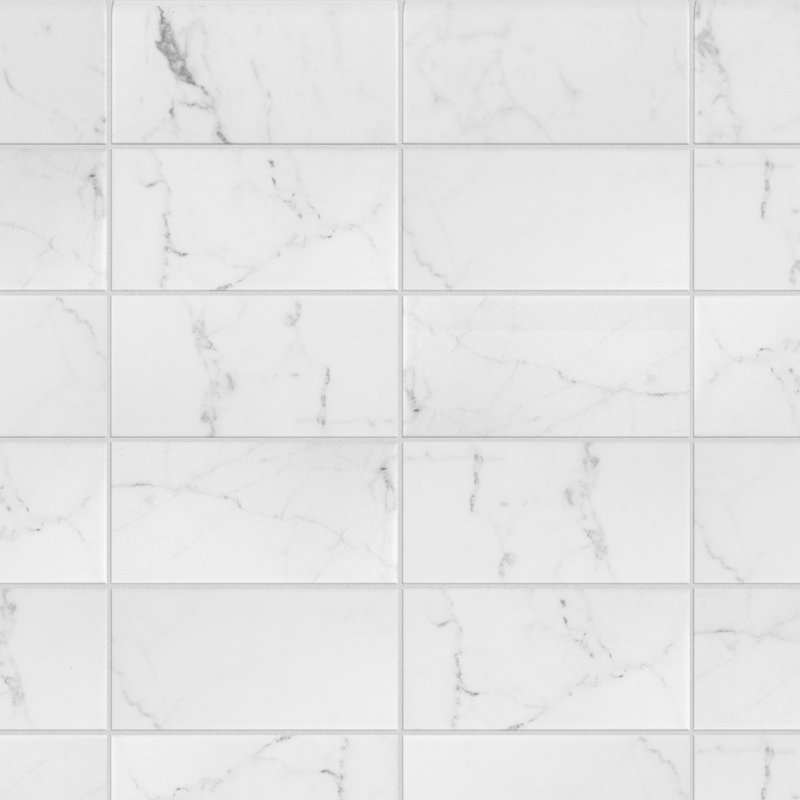 Classico Carrara 6" x 3" Matte Ceramic Bullnose Tile Trim in White/Gray