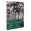 Forest In Russia - Wrapped Canvas-55363917