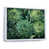 White Floater Framed