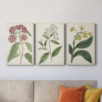 " Antique Botanical Collection XI " 3 - Pieces Painting Print