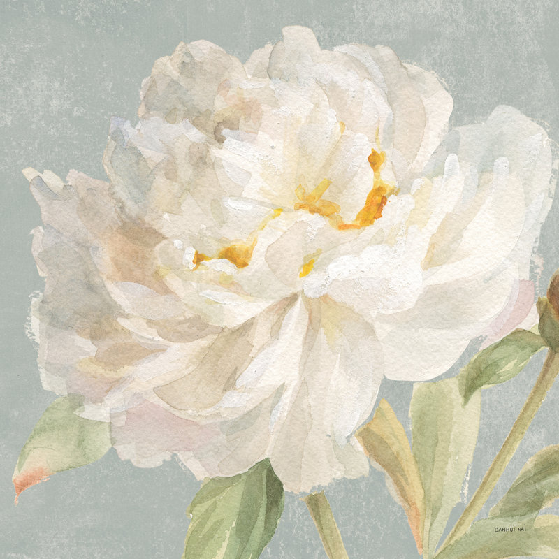 Pivoine de jardin neutre, H 30 po x l 30 po