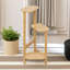 Alarico Natural Bamboo 2 Tier Plant Stand, Plant Pot Holder, Living Room Shelf