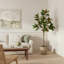 Faux Magnolia Tree in Fiberstone Planter