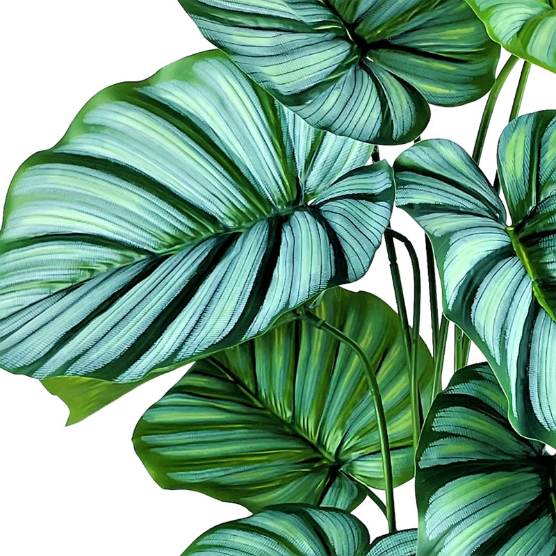 30'' Faux Prayer Plant in Wicker/Rattan Basket