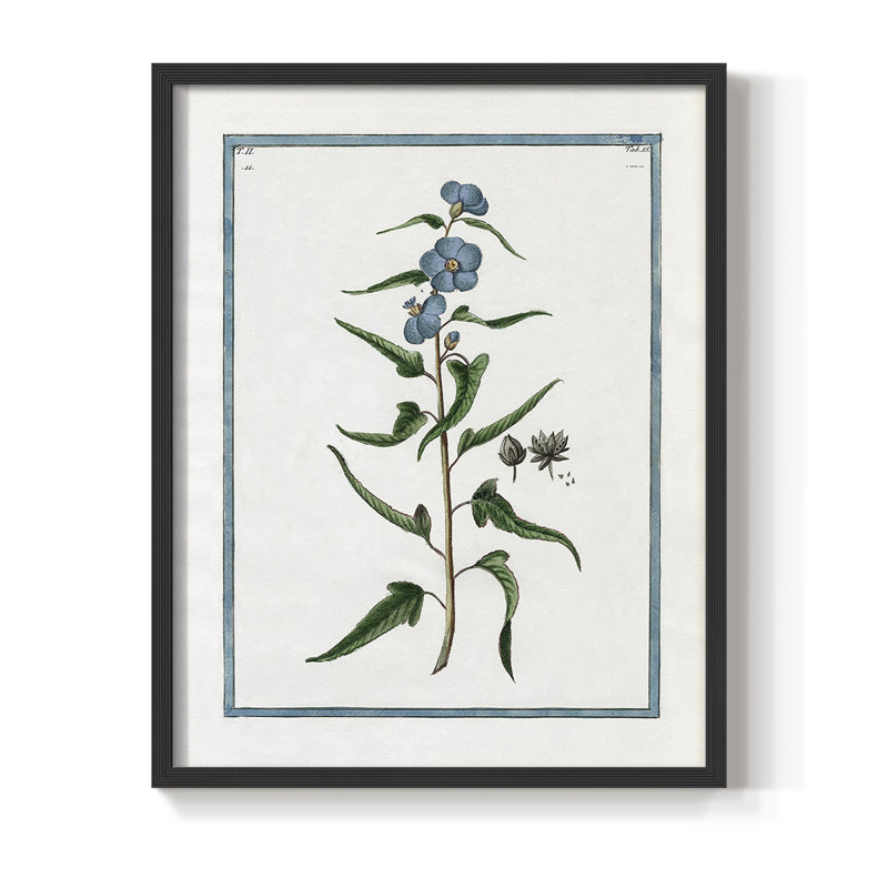 Shabby Elegance Botanical I, reproduction encadrée - bois massif, Noir, noir, noir, noir, H 28 po x l 22 po