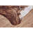 Abernethy Cowhide Animal Print Indoor Rug-88317345