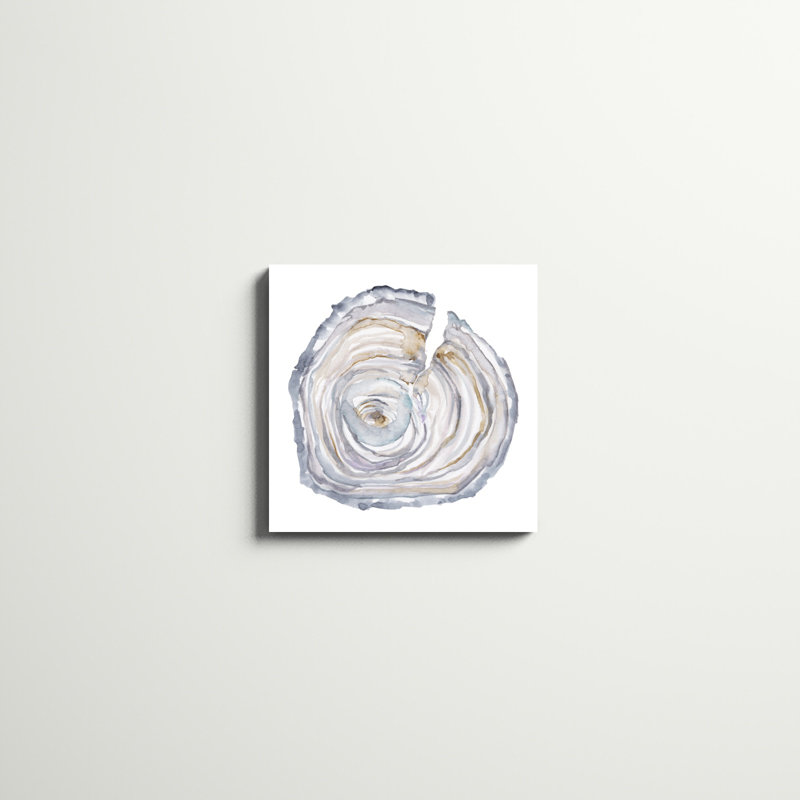 " Watercolor Tree Ring II " by Ethan Harper Painting Print, 20" H x 20" W