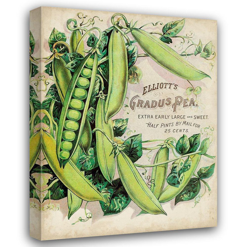 «August Grove® Inconnu», art sur toile tendue, paquets de semences antiques V, H 36 po x l 28 po