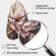 Horloge murale 3D rose-104237997