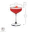 255 Glass