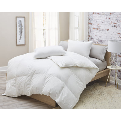 Premium German Batiste Goose Down Comforter – 850 Fill Power