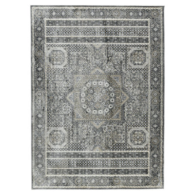 Caulkins Oriental Indoor Rug