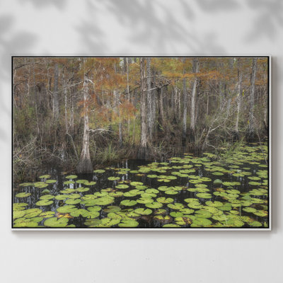 Bayou Fall, reproduction d'art sur toile