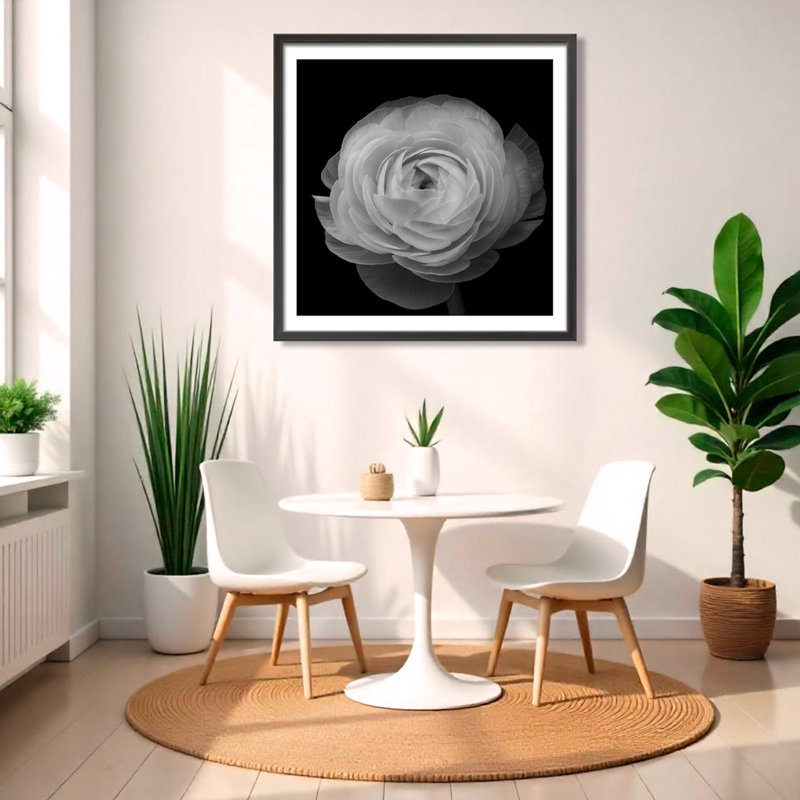 "Ranunculus", reproduction d'art encadrée par Lotte Gronkjar, L 24 po x H 24 po