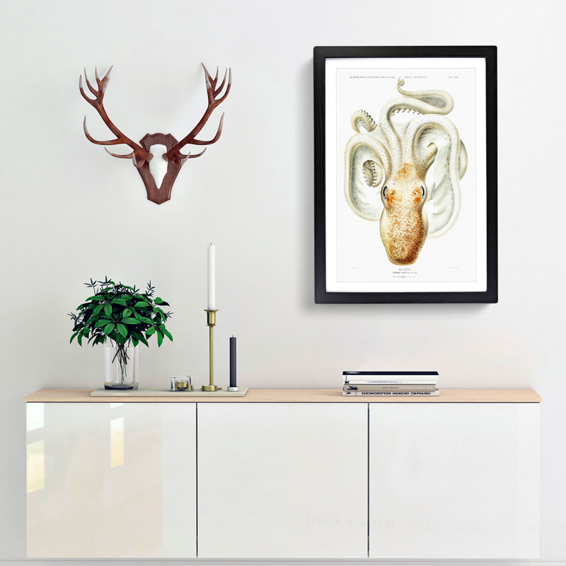 A Velodona Octopus by Carl Chun - Framed Print, 63cm H x 45cm W x 2cm D, Black Framed