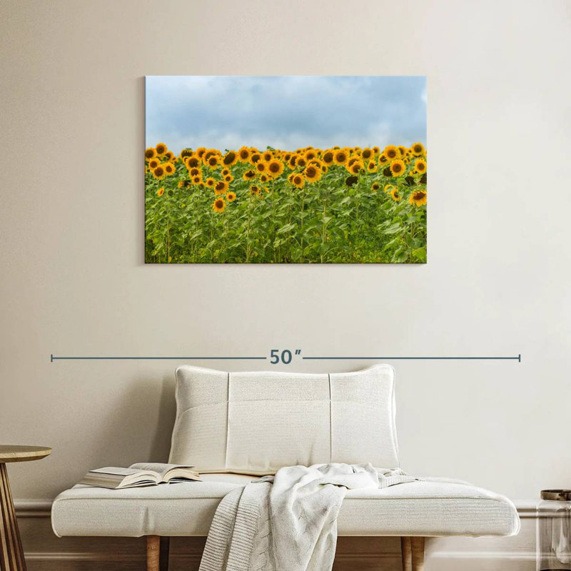 Tournesols Alvord, H 24 po x l 36 po
