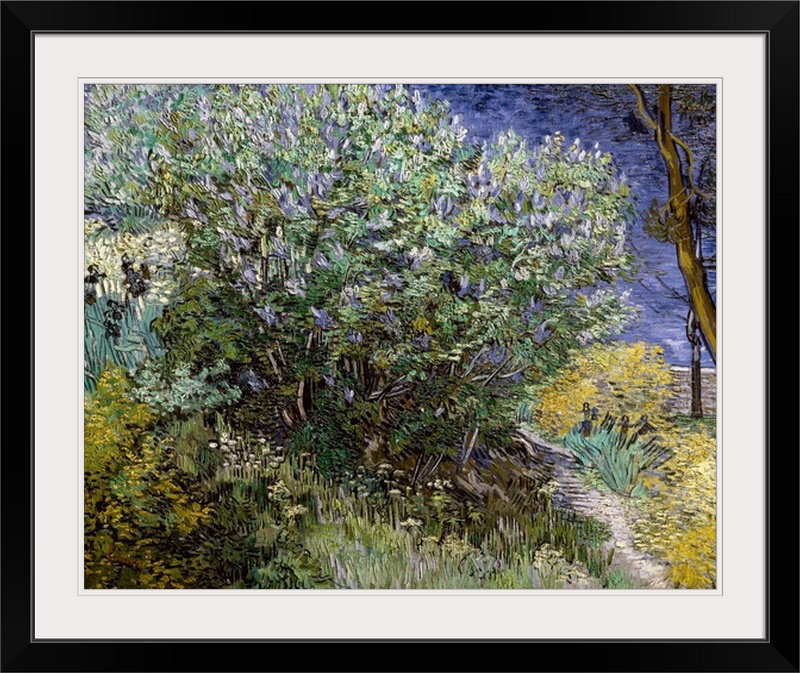 «Lilac Bush» par Vincent Van Gogh, reproduction d'art, Cadre noir, H 20 po x l 23 po x P 1 po