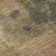 Premium Machine Washable Bucz AMF1742 Modern Rug